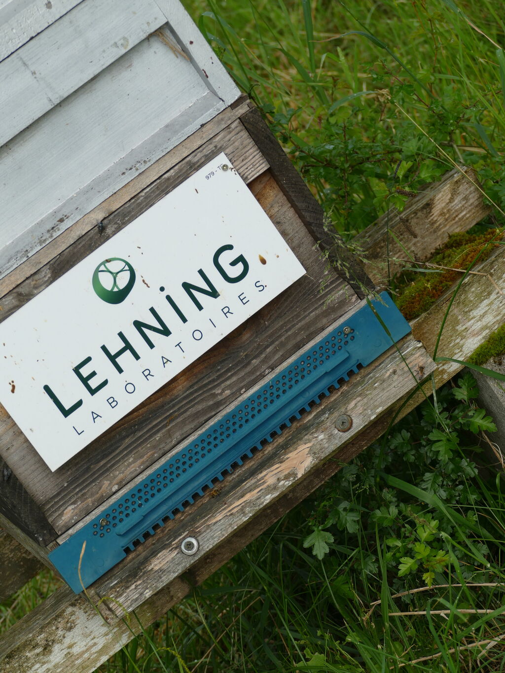 La ruche LABORATOIRES LEHNING 