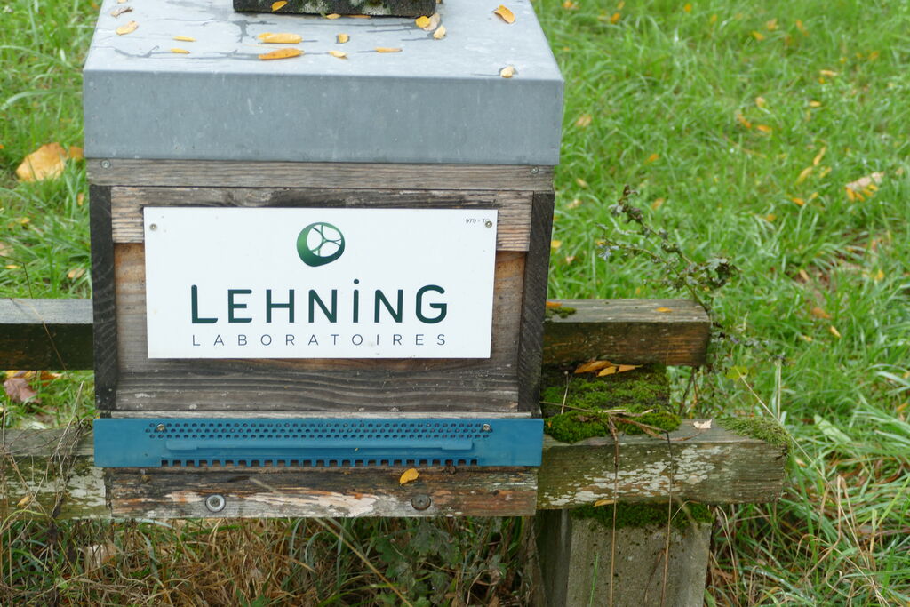 La ruche LABORATOIRES LEHNING