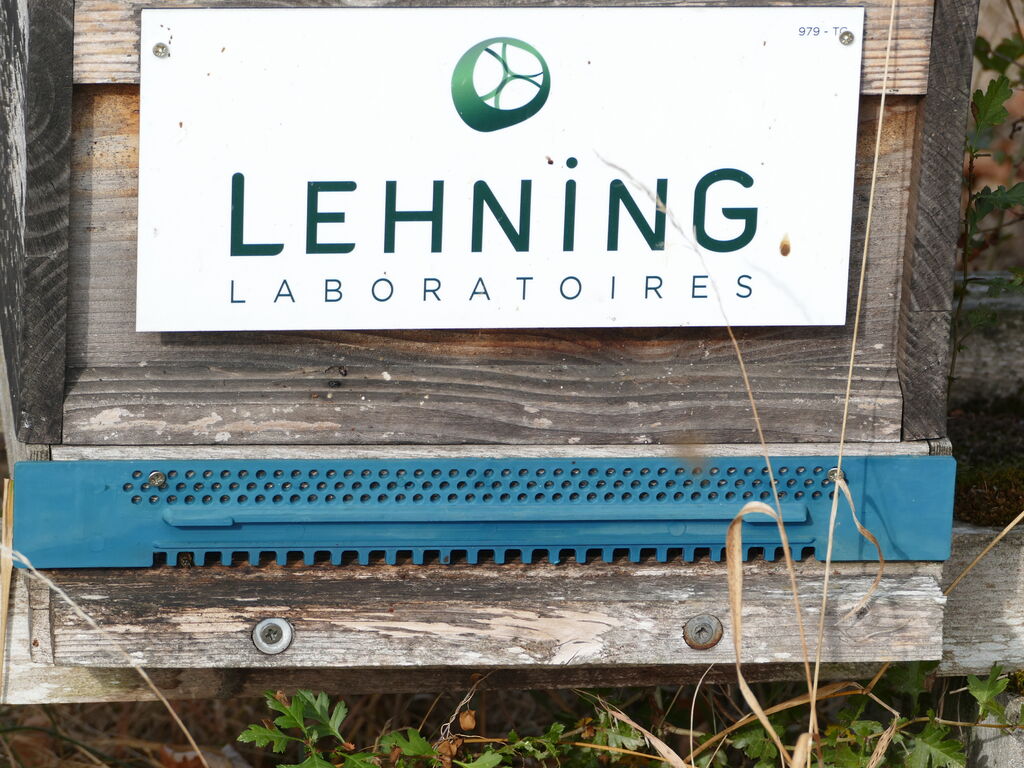 La ruche LABORATOIRES LEHNING