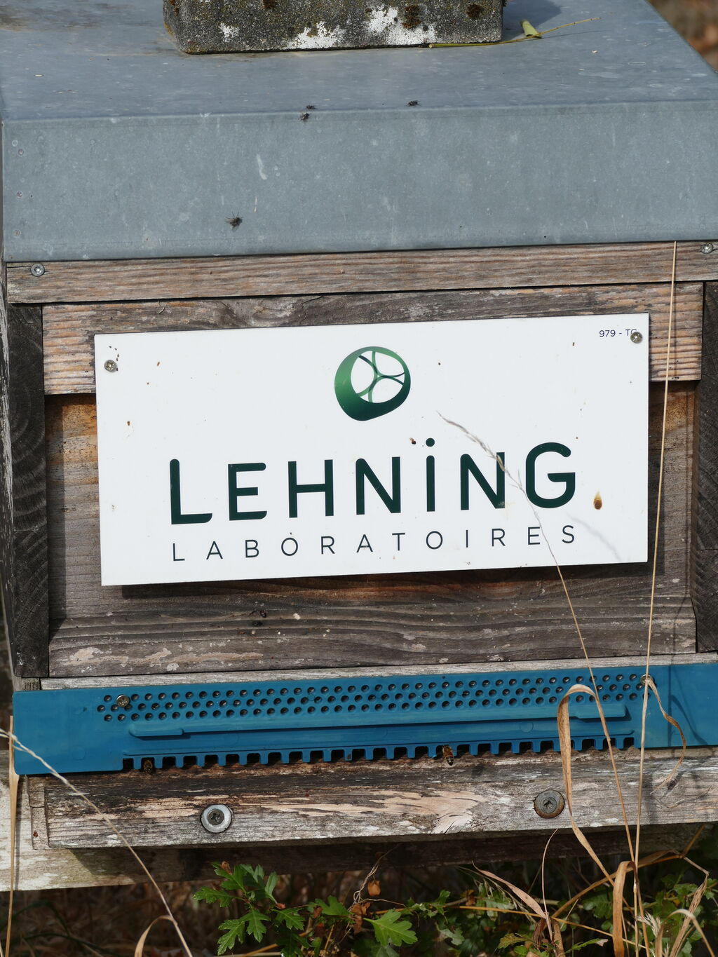 La ruche LABORATOIRES LEHNING