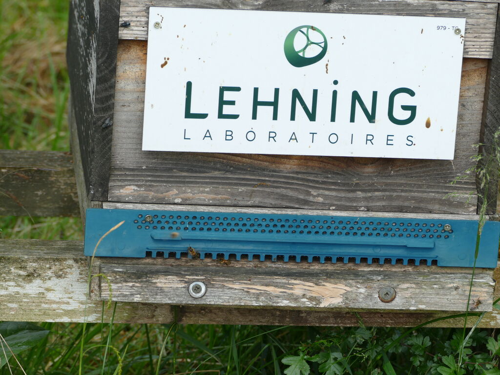 La ruche LABORATOIRES LEHNING 