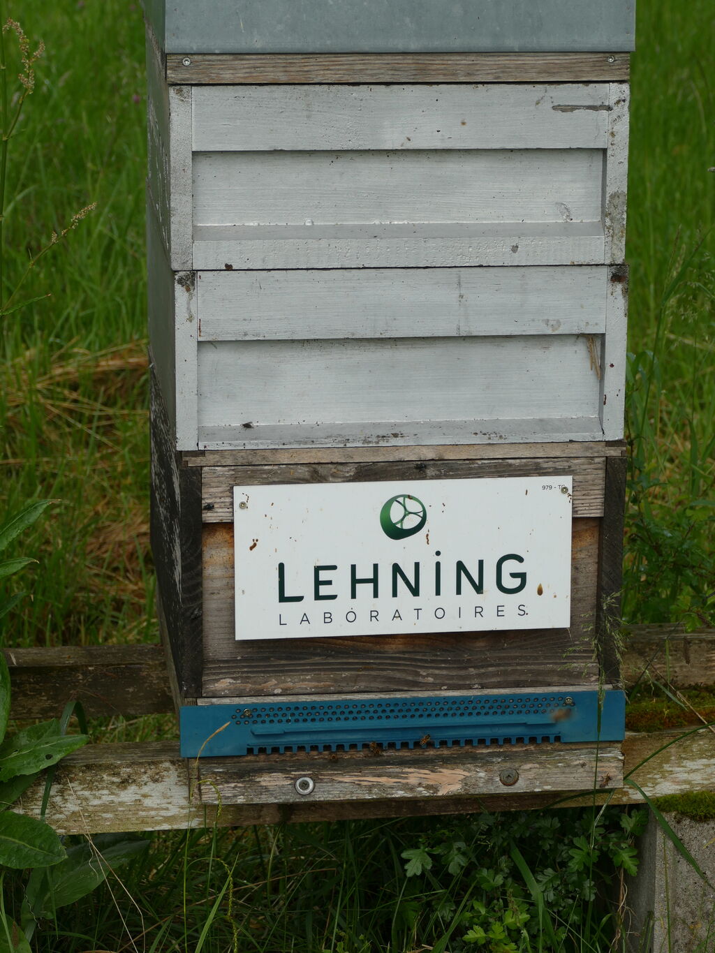 La ruche LABORATOIRES LEHNING 