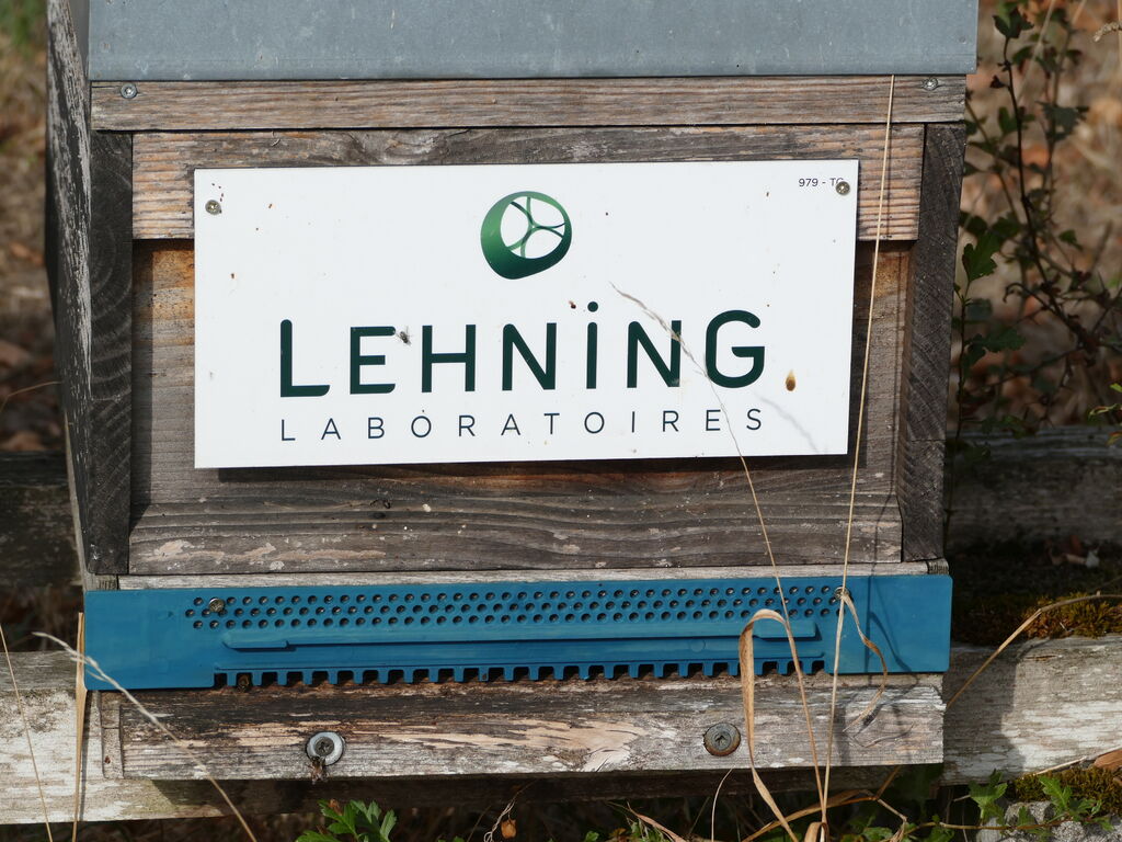 La ruche LABORATOIRES LEHNING