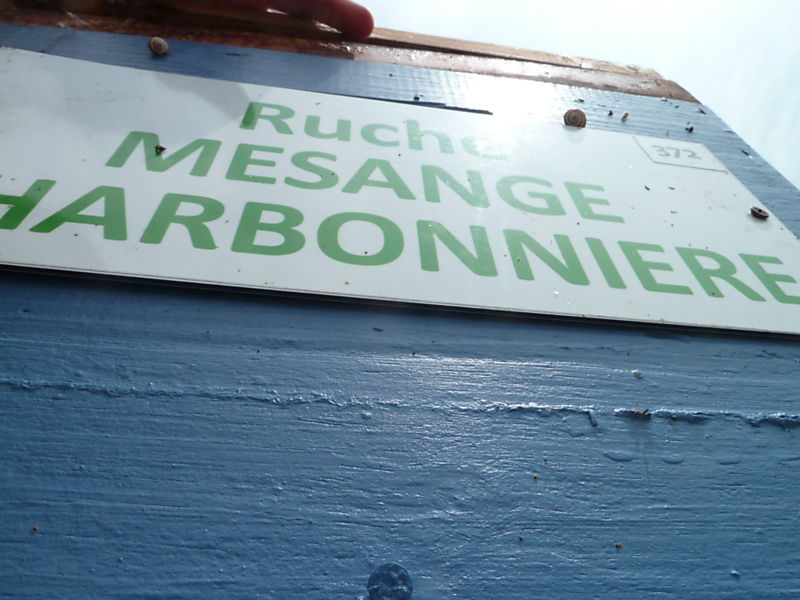 La ruche Mesange charbonniere