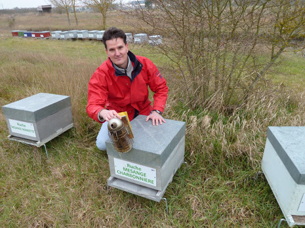 La ruche Mesange charbonniere