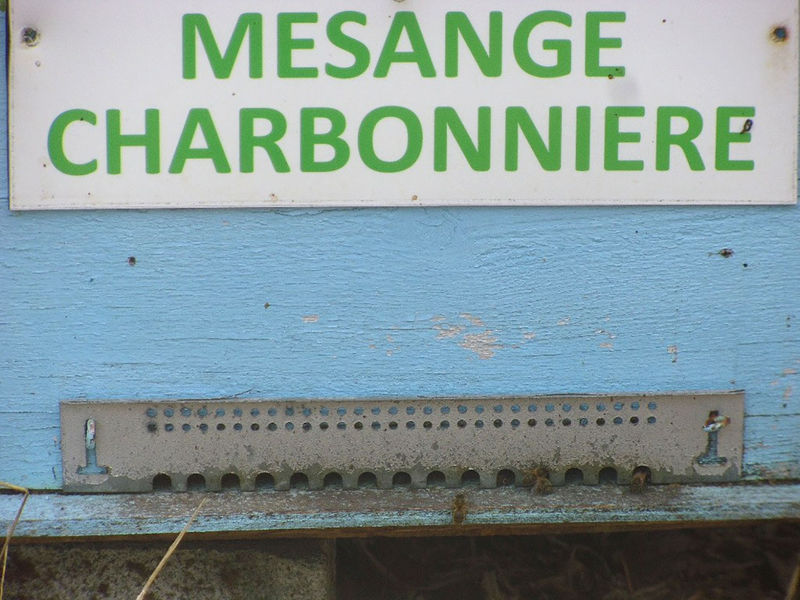 La ruche Mesange charbonniere