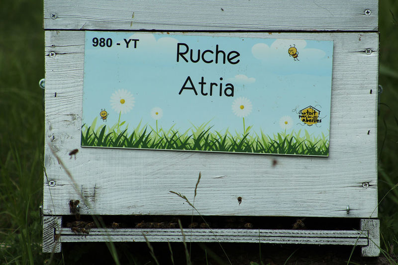 La ruche Atria