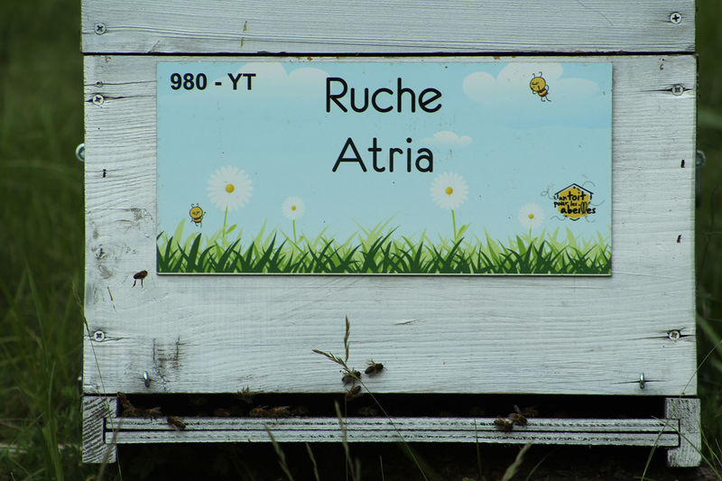 La ruche Atria