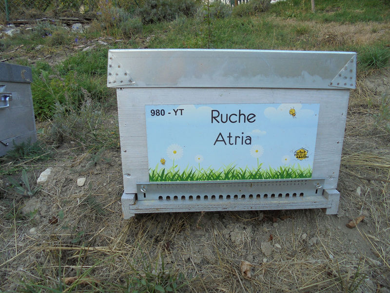 La ruche Atria