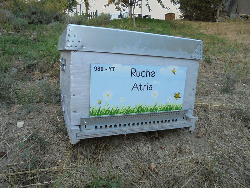 La ruche Atria