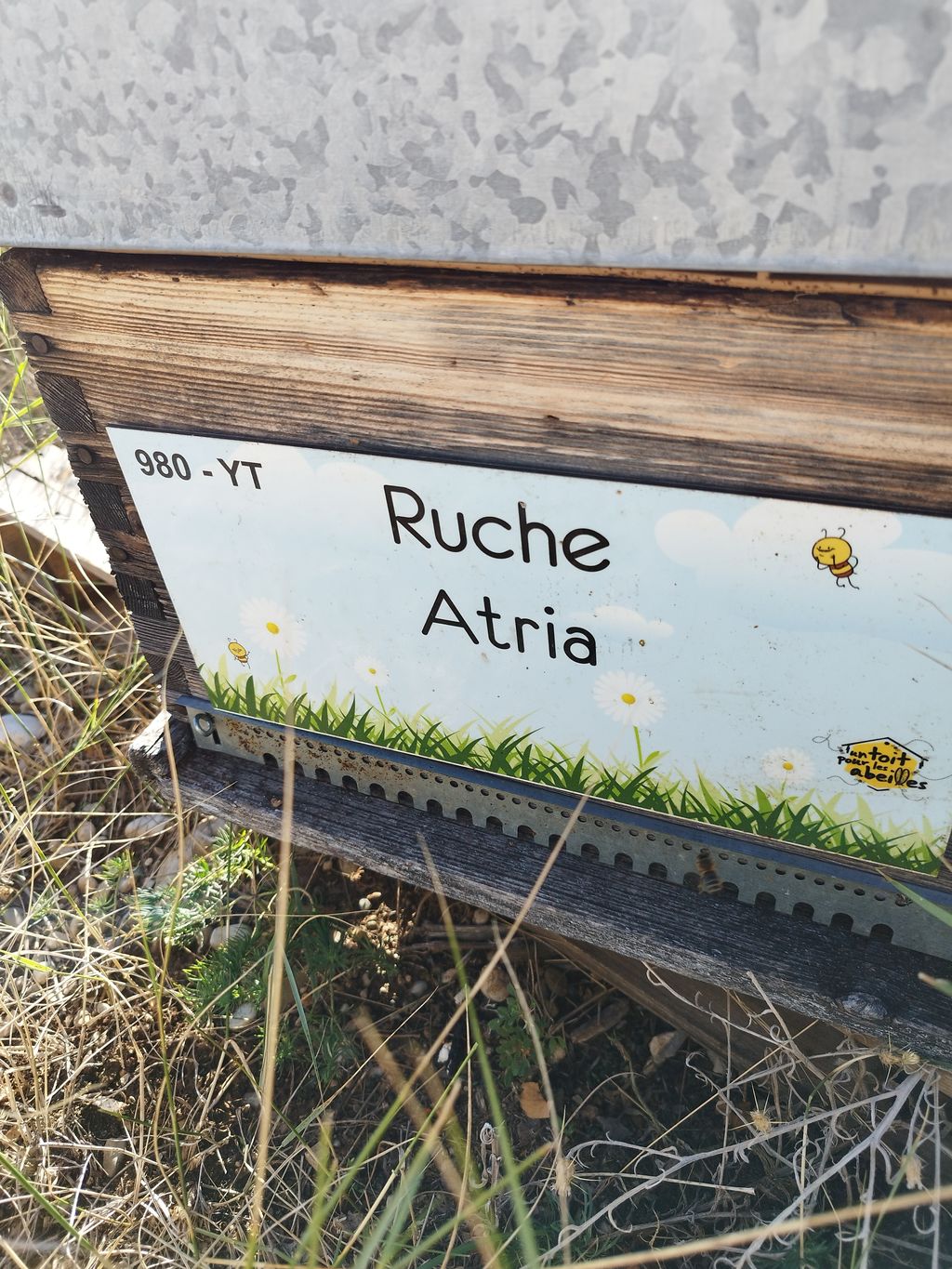 La ruche Atria