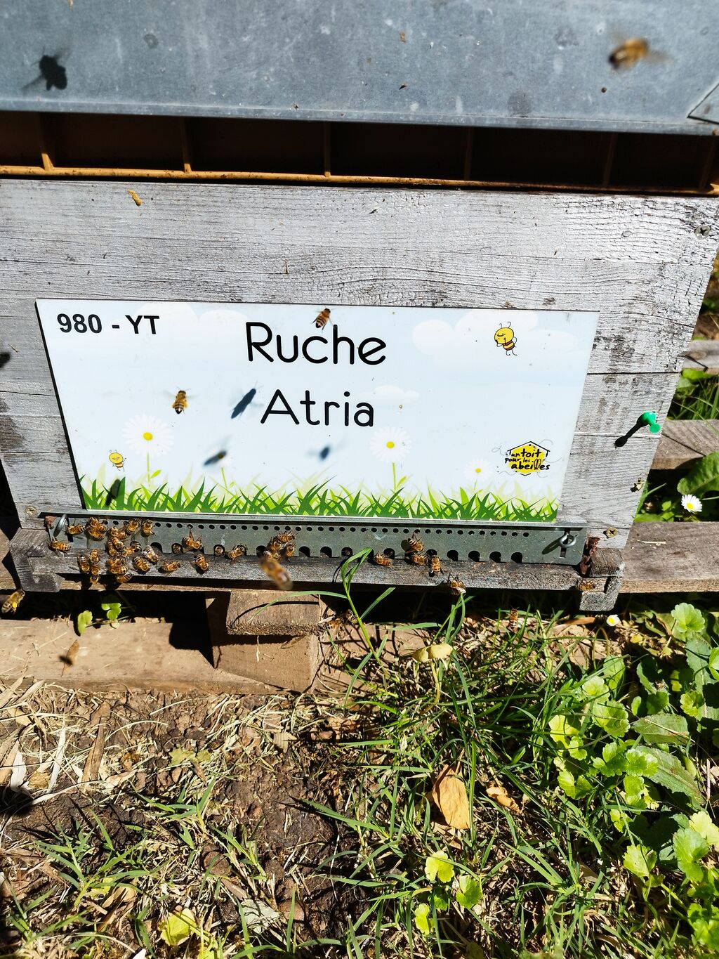 La ruche Atria