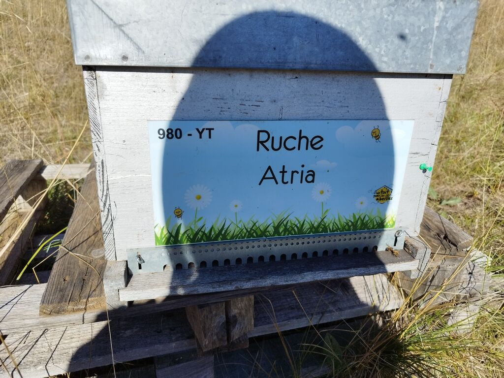 La ruche Atria