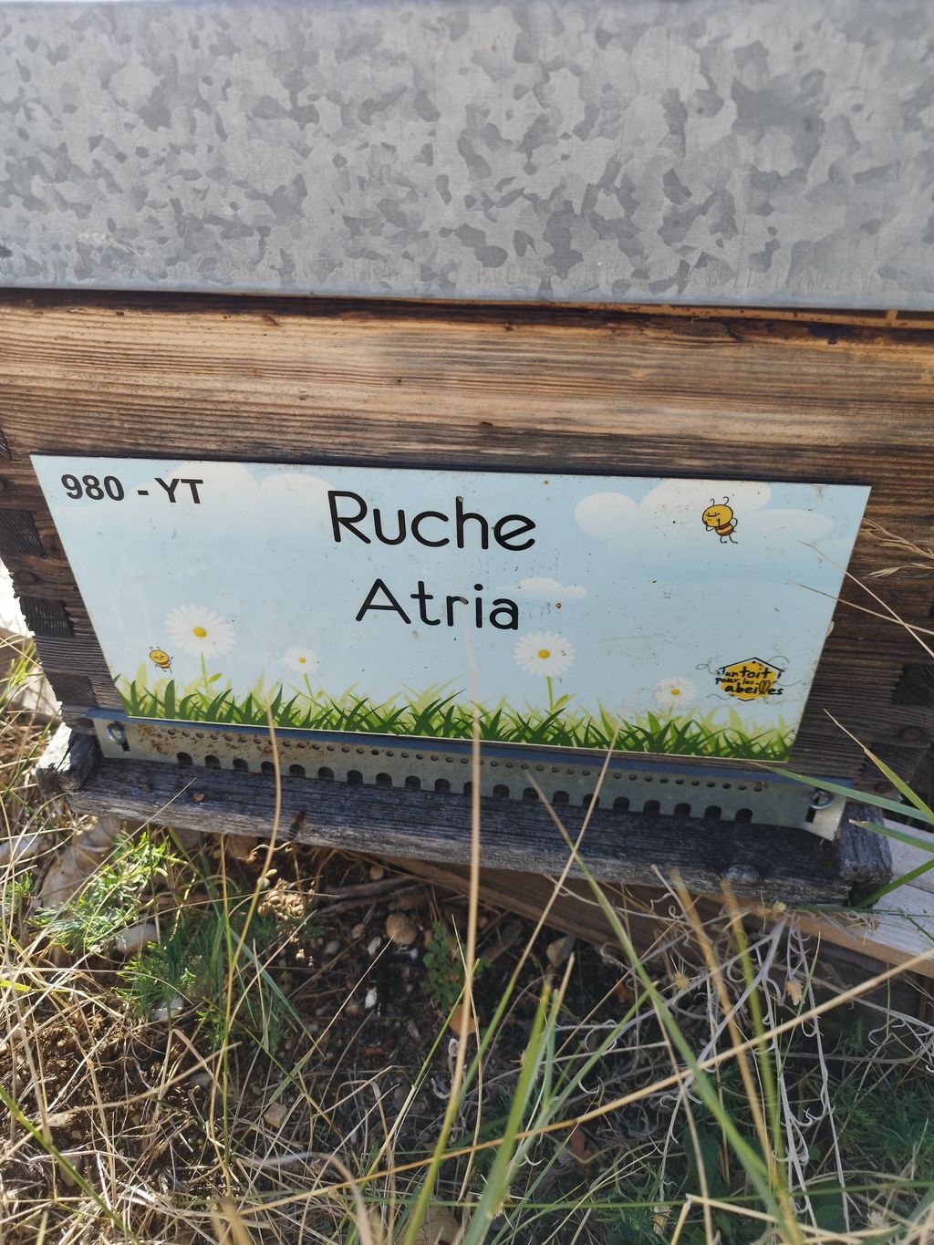La ruche Atria
