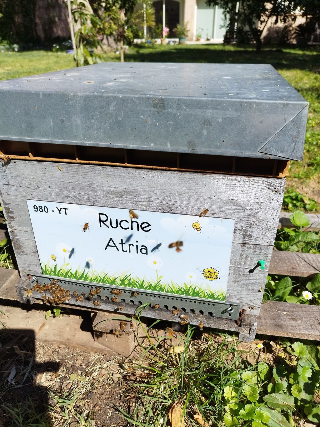 La ruche Atria