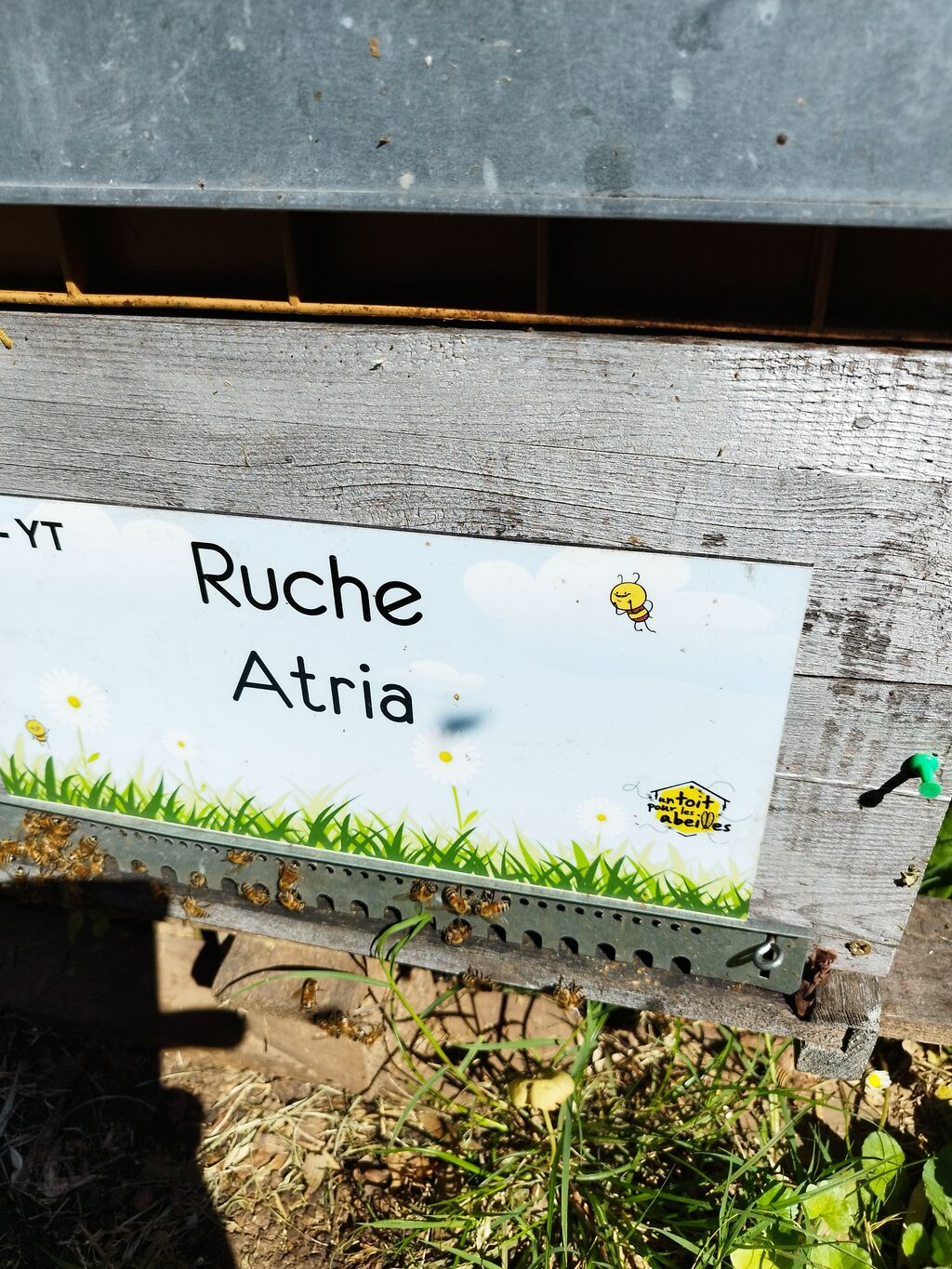 La ruche Atria