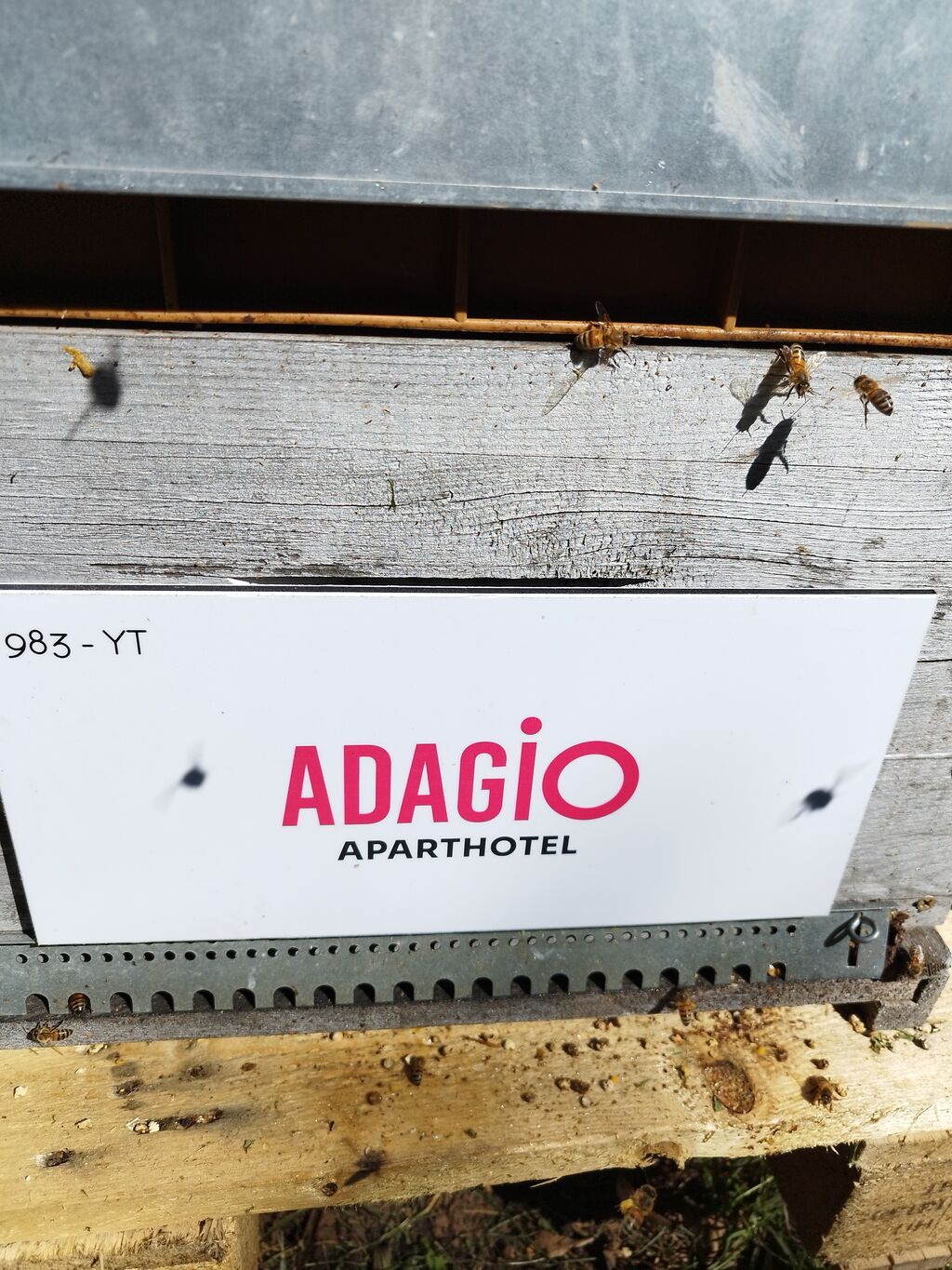 La ruche Adagio Monaco Palais Joséphine 