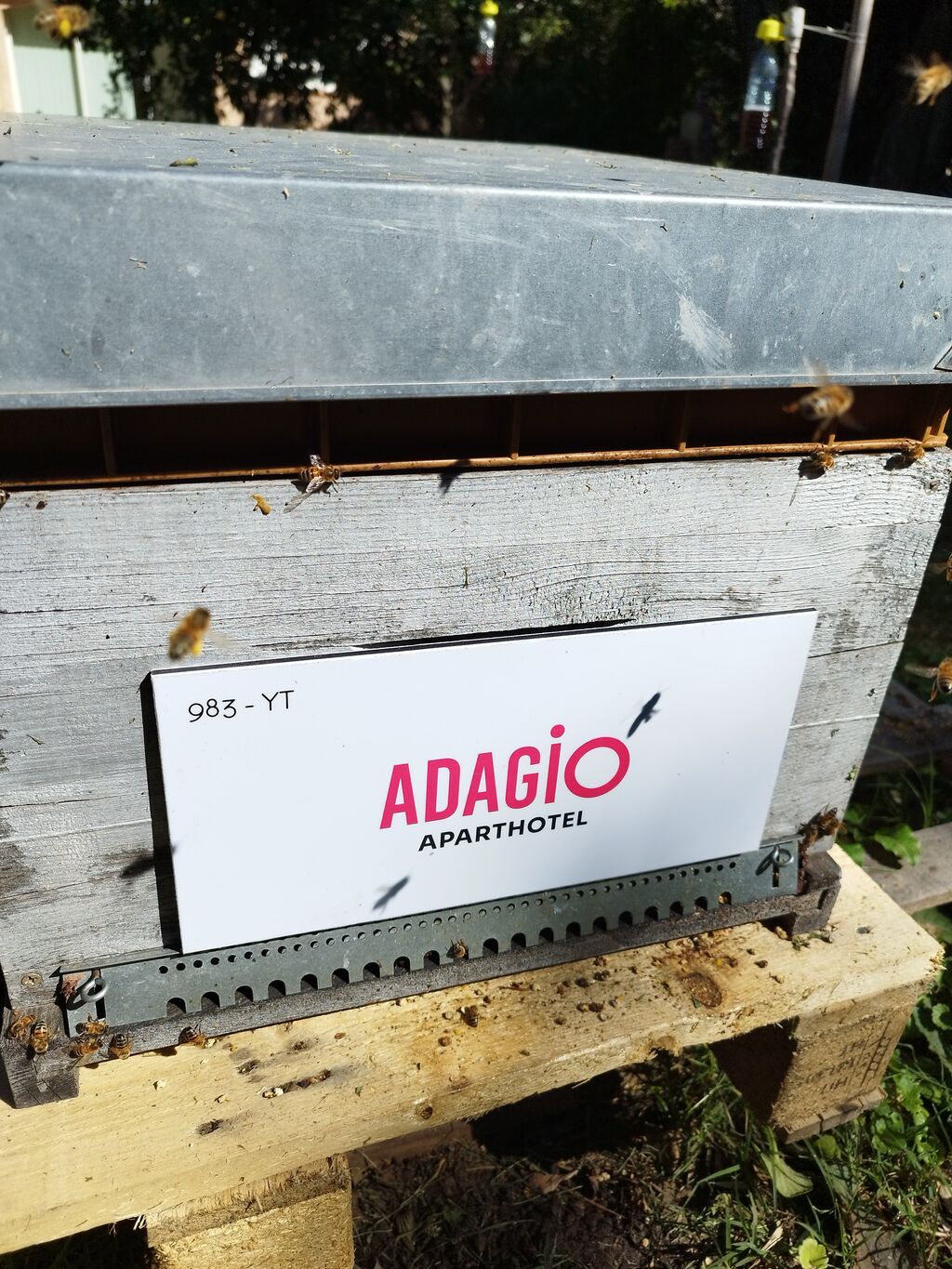 La ruche Adagio Monaco Palais Joséphine 