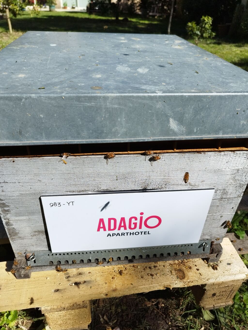 La ruche Adagio Monaco Palais Joséphine 