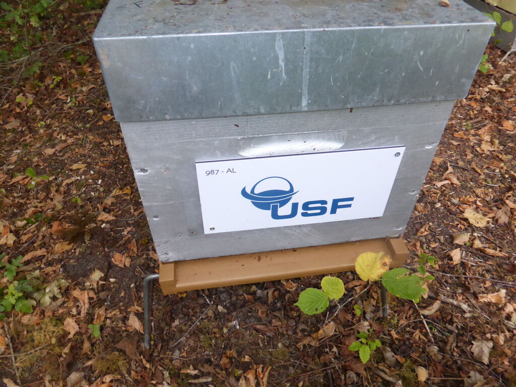 La ruche USF