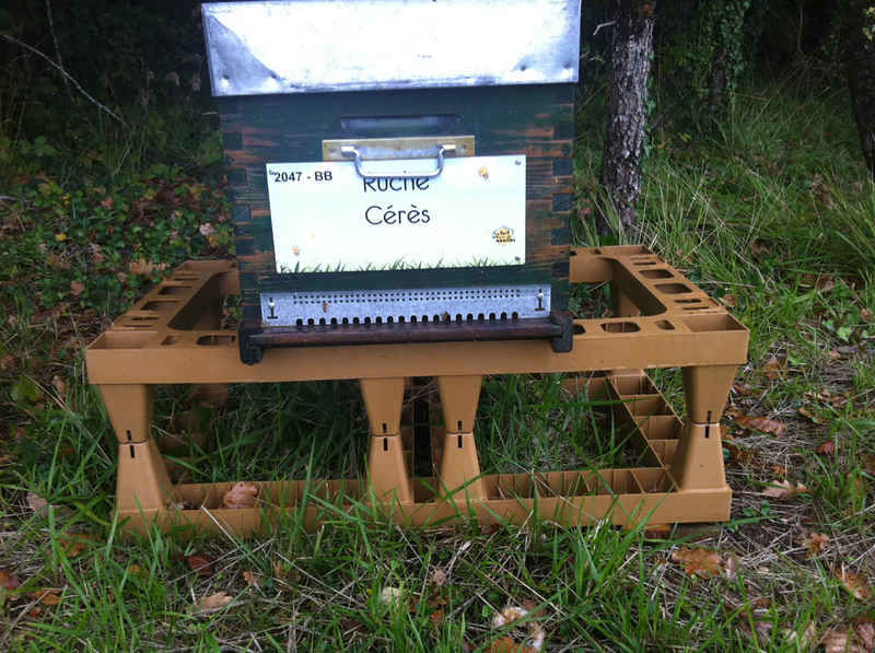 La ruche Cérès