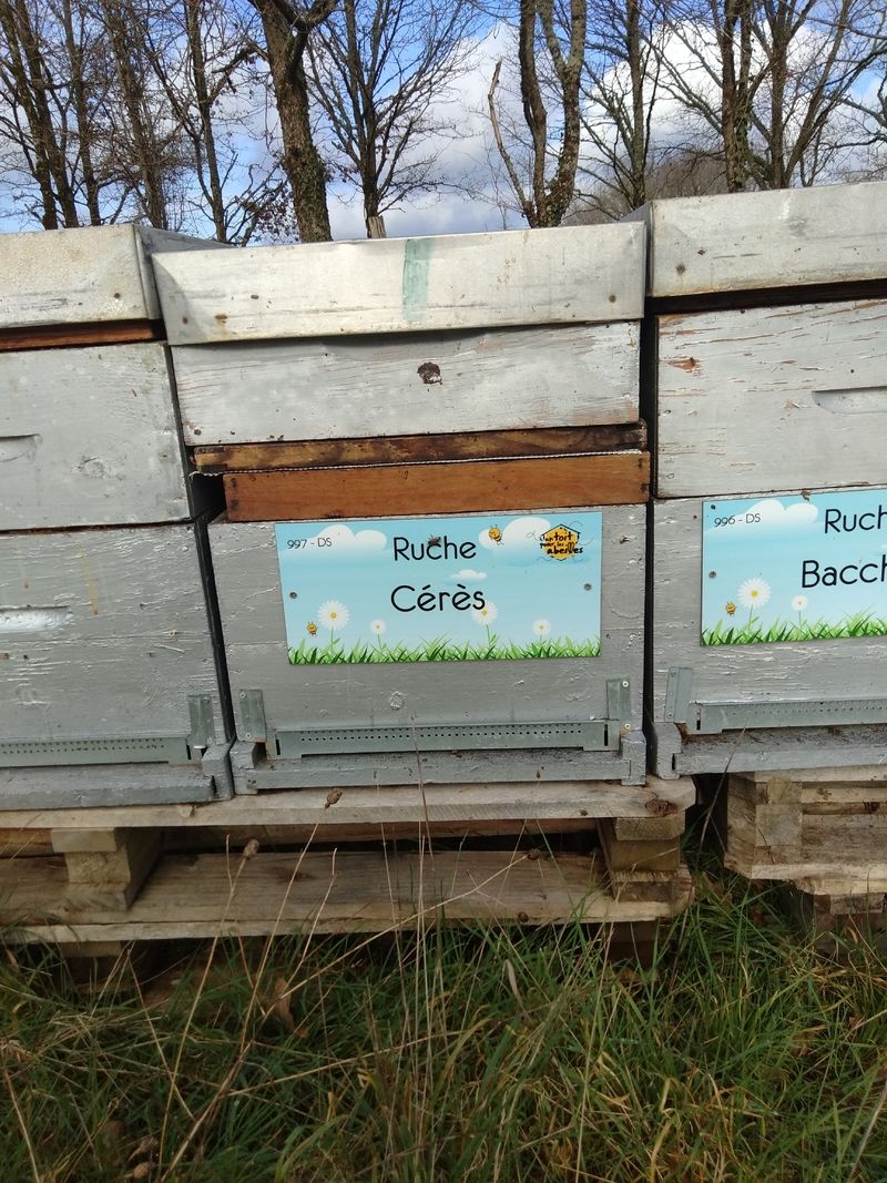 La ruche Cérès