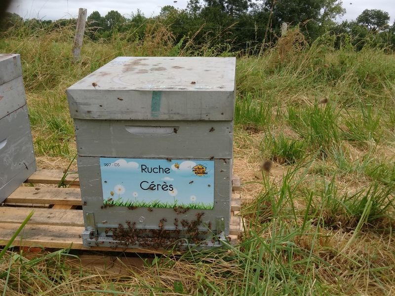 La ruche Cérès
