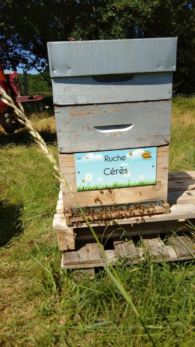 La ruche Cérès