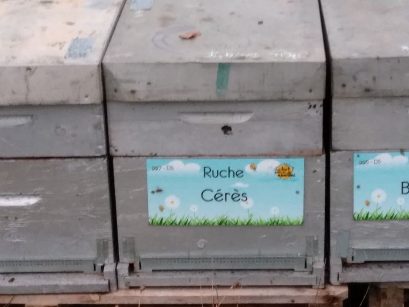 La ruche Cérès
