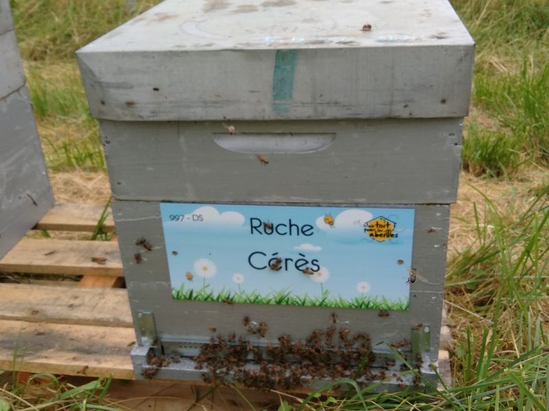 La ruche Cérès