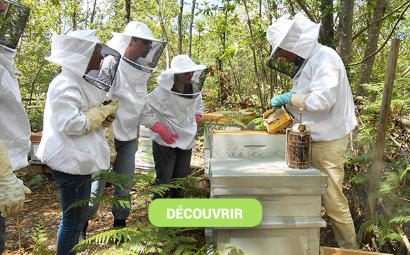 Le miel Martine, choisissez LE miel qui sauve les abeilles