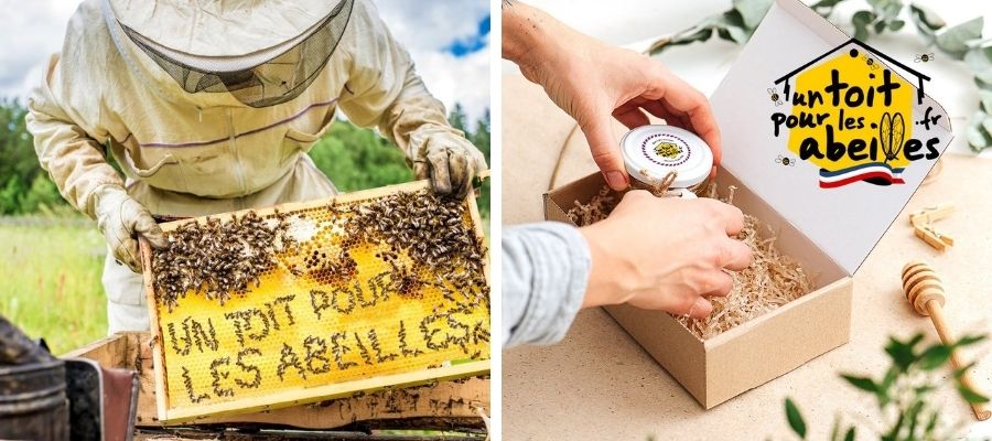 Crise du miel : Les apiculteurs français menacés