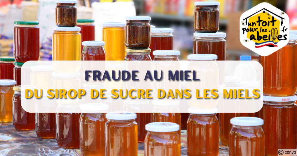 France: les apiculteurs dénoncent les importations de miel à bas prix