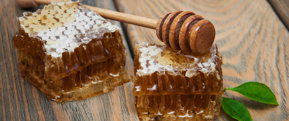 Miel en rayon : le miel tel qu'il est dans la ruche